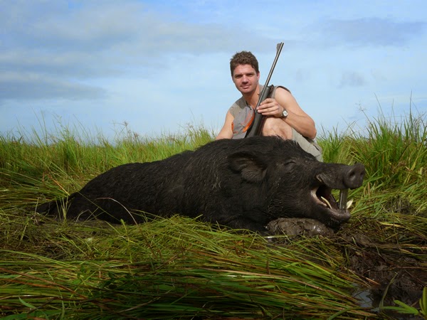 Wild Boar Hunting Safaris