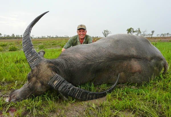 Water Buffalo Hunting Safaris