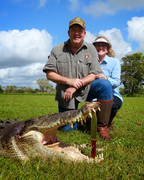 Crocodile Harvesting Safaris