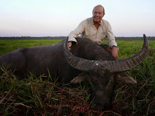 water-buffalo-hunting-safaris-29.jpg