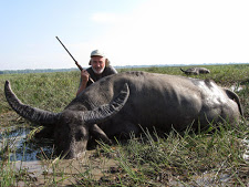 water-buffalo-hunting-safaris-5.jpg