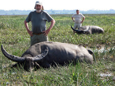 water-buffalo-hunting-safaris-7.jpg