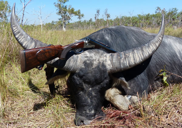 Water Buffalo Hunting Safari